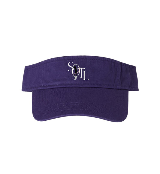 Visor